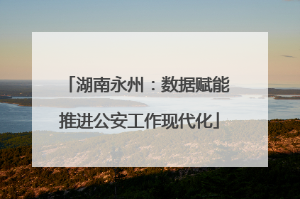 湖南永州：数据赋能推进公安工作现代化