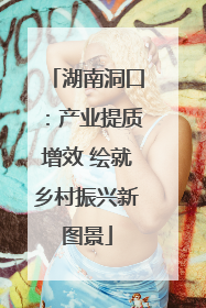 湖南洞口：产业提质增效 绘就乡村振兴新图景