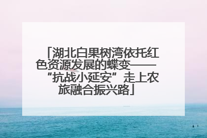 湖北白果树湾依托红色资源发展的蝶变——“抗战小延安”走上农旅融合振兴路