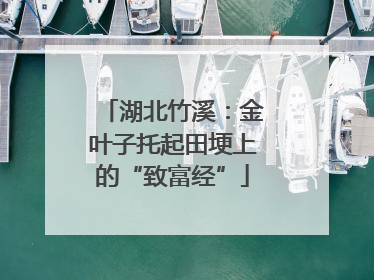 湖北竹溪：金叶子托起田埂上的“致富经”