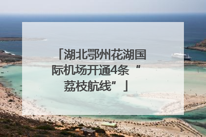 湖北鄂州花湖国际机场开通4条“荔枝航线”