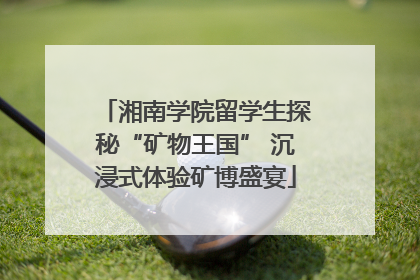 湘南学院留学生探秘“矿物王国” 沉浸式体验矿博盛宴