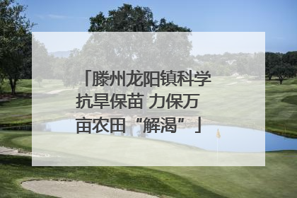 滕州龙阳镇科学抗旱保苗 力保万亩农田“解渴”