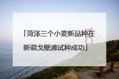 菏泽三个小麦新品种在新疆戈壁滩试种成功