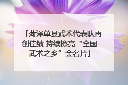 菏泽单县武术代表队再创佳绩 持续擦亮“全国武术之乡”金名片