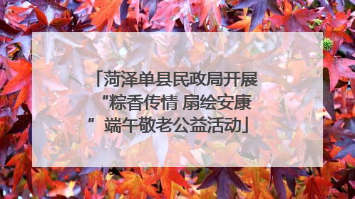 菏泽单县民政局开展“粽香传情 扇绘安康”端午敬老公益活动