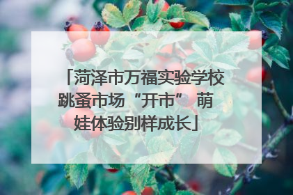 菏泽市万福实验学校跳蚤市场“开市” 萌娃体验别样成长