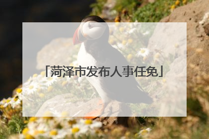 菏泽市发布人事任免