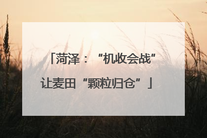 菏泽：“机收会战”让麦田“颗粒归仓”