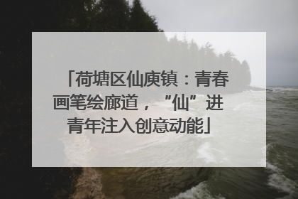 荷塘区仙庾镇：青春画笔绘廊道，“仙”进青年注入创意动能