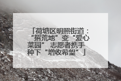 荷塘区明照街道：“撂荒地”变“爱心菜园” 志愿者携手种下“增收希望”