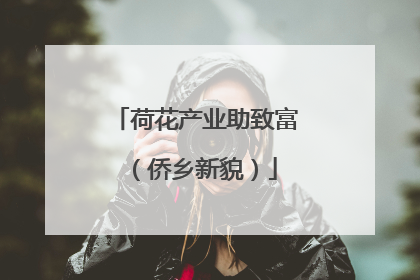 荷花产业助致富（侨乡新貌）