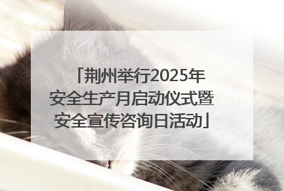 荆州举行2025年安全生产月启动仪式暨安全宣传咨询日活动