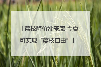 荔枝降价潮来袭 今夏可实现“荔枝自由”