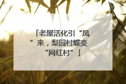 老屋活化引“凤”来，梨园村蝶变“网红村”