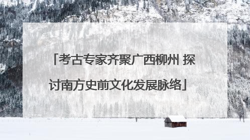 考古专家齐聚广西柳州 探讨南方史前文化发展脉络