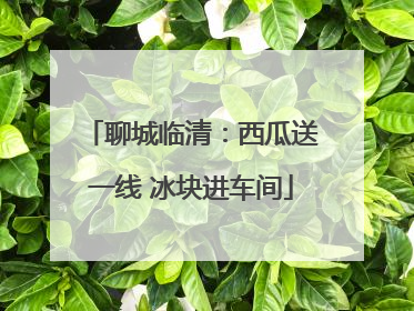 聊城临清：西瓜送一线 冰块进车间