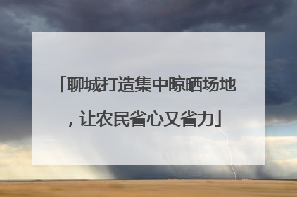 聊城打造集中晾晒场地，让农民省心又省力