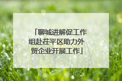 聊城进解促工作组赴茌平区助力外贸企业开展工作