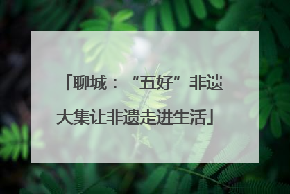 聊城：“五好”非遗大集让非遗走进生活