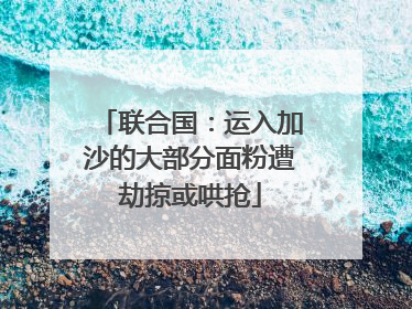 联合国：运入加沙的大部分面粉遭劫掠或哄抢