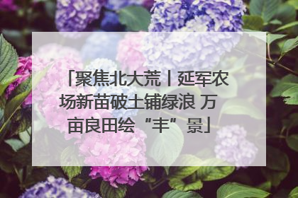 聚焦北大荒丨延军农场新苗破土铺绿浪 万亩良田绘“丰”景