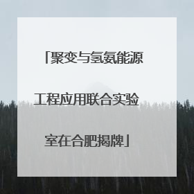 聚变与氢氨能源工程应用联合实验室在合肥揭牌