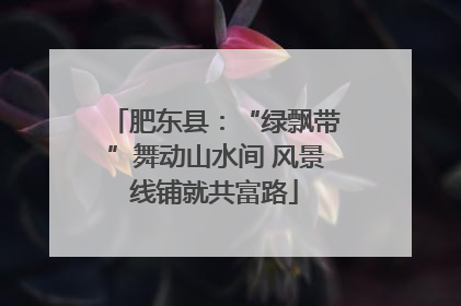 肥东县：“绿飘带”舞动山水间 风景线铺就共富路