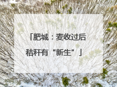 肥城：麦收过后秸秆有“新生”