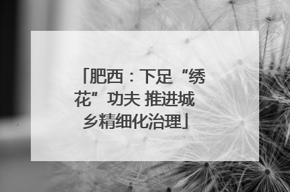 肥西：下足“绣花”功夫 推进城乡精细化治理