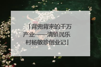 背兜背来的千万产业——清镇民乐村杨敏珍创业记