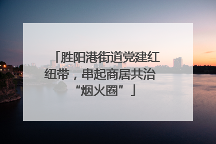 胜阳港街道党建红纽带，串起商居共治 “烟火圈”