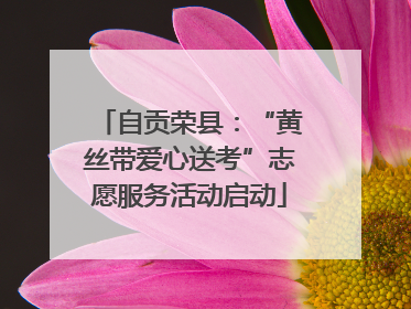 自贡荣县：“黄丝带爱心送考”志愿服务活动启动