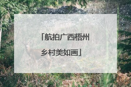 航拍广西梧州乡村美如画