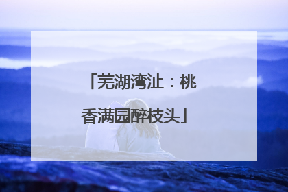 芜湖湾沚：桃香满园醉枝头