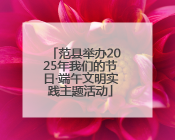 范县举办2025年我们的节日·端午文明实践主题活动
