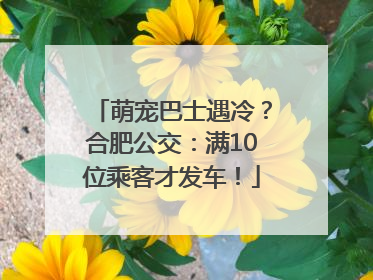 萌宠巴士遇冷？合肥公交：满10位乘客才发车！