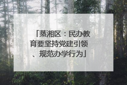 蒸湘区：民办教育要坚持党建引领、规范办学行为