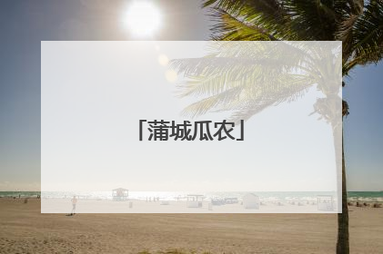 蒲城瓜农