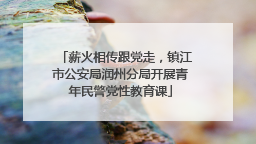 薪火相传跟党走，镇江市公安局润州分局开展青年民警党性教育课