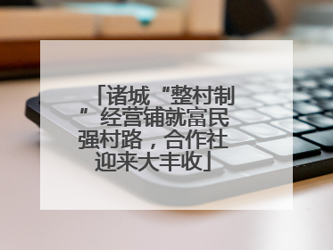 诸城“整村制”经营铺就富民强村路，合作社迎来大丰收