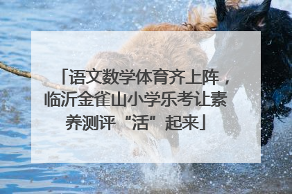 语文数学体育齐上阵，临沂金雀山小学乐考让素养测评“活”起来