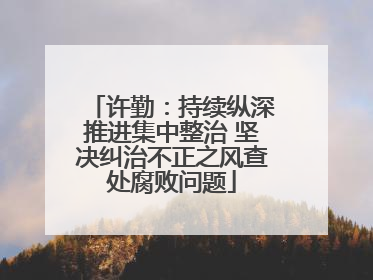 许勤：持续纵深推进集中整治 坚决纠治不正之风查处腐败问题