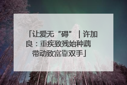 让爱无“碍”｜许加良：重疾致残始种藕 带动致富靠双手