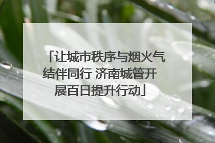 让城市秩序与烟火气结伴同行 济南城管开展百日提升行动
