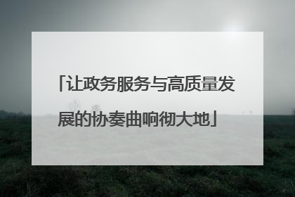 让政务服务与高质量发展的协奏曲响彻大地