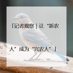 记者观察｜让“新农人”成为“兴农人”