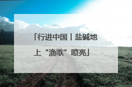 行进中国丨盐碱地上“渔歌”嘹亮