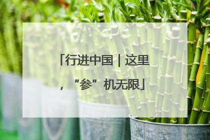 行进中国｜这里，“参”机无限