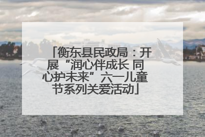 衡东县民政局：开展“润心伴成长 同心护未来”六一儿童节系列关爱活动